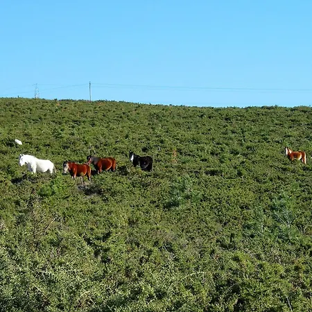 شقة Playa Monte Pindo - Morada Raina Lupa *