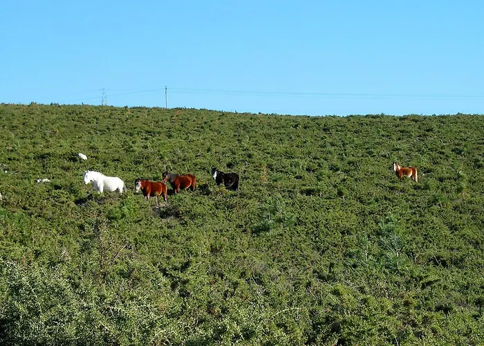 Appartement Playa Monte Pindo - Morada Raina Lupa *